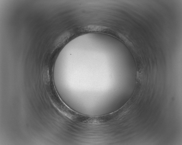 X0000080790254200701021231