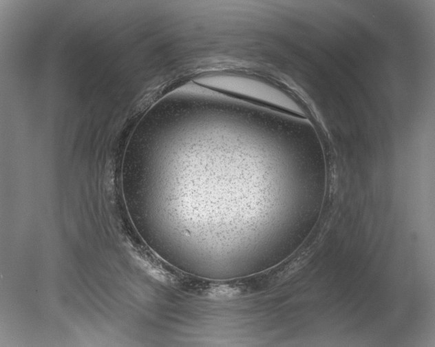 X0000080790257200701021231