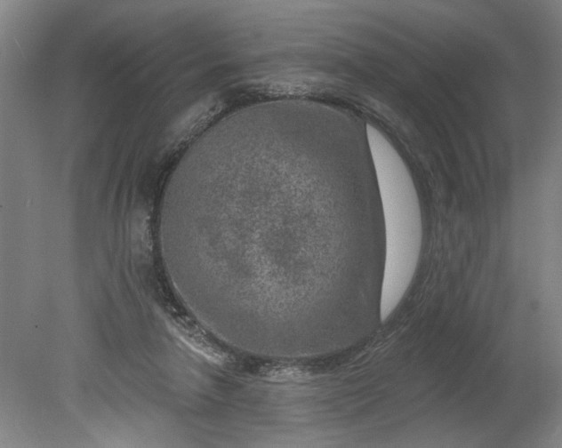 X0000080790258200701021231