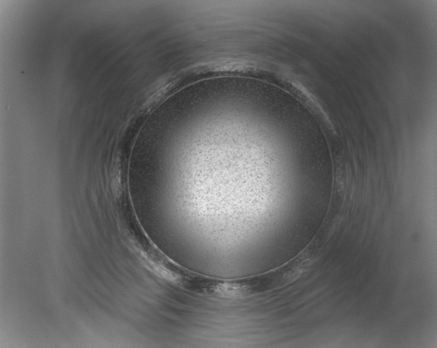 X0000080790261200701021231