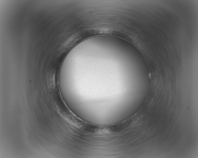 X0000080790262200701021231