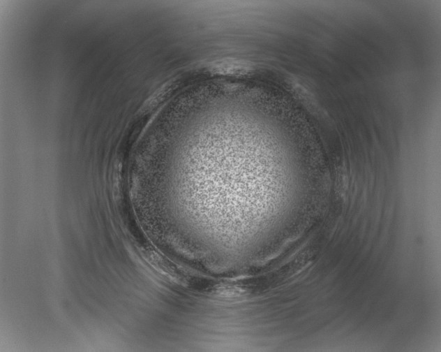 X0000080790263200701021231