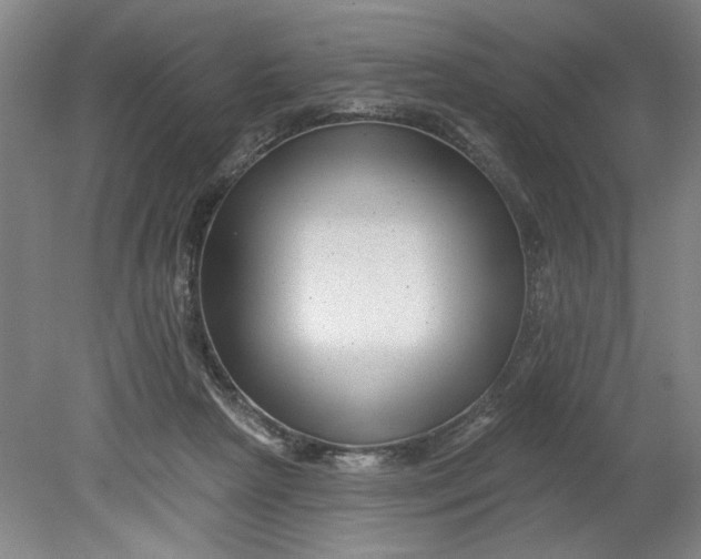 X0000080790265200701021232