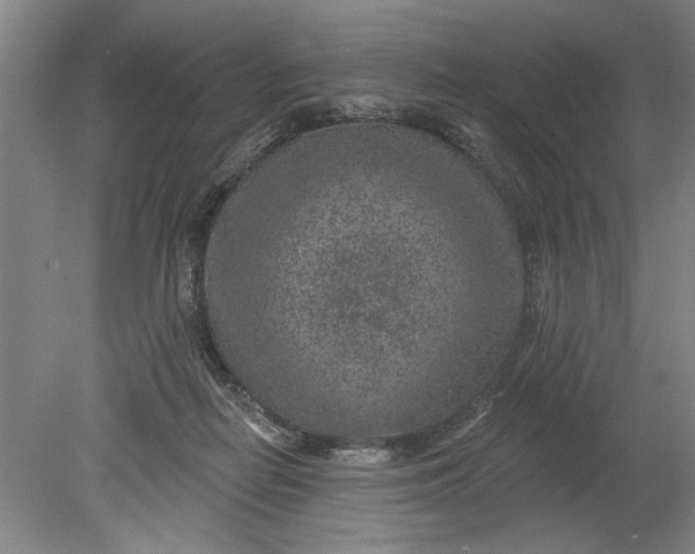 X0000080790266200701021232