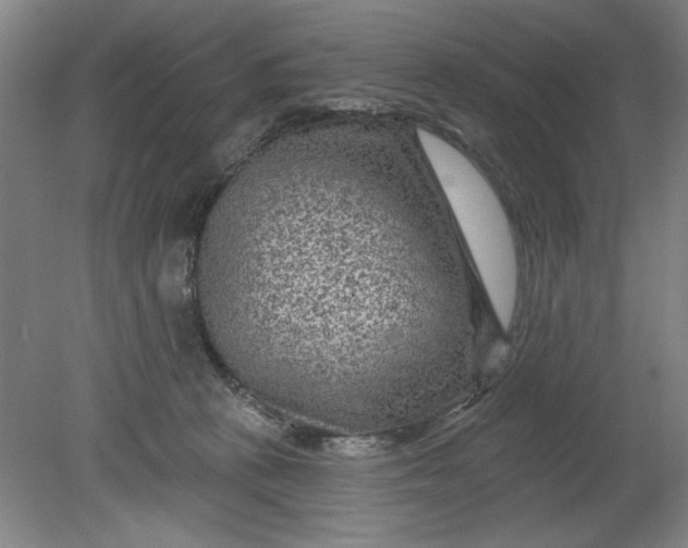 X0000080790273200701021232