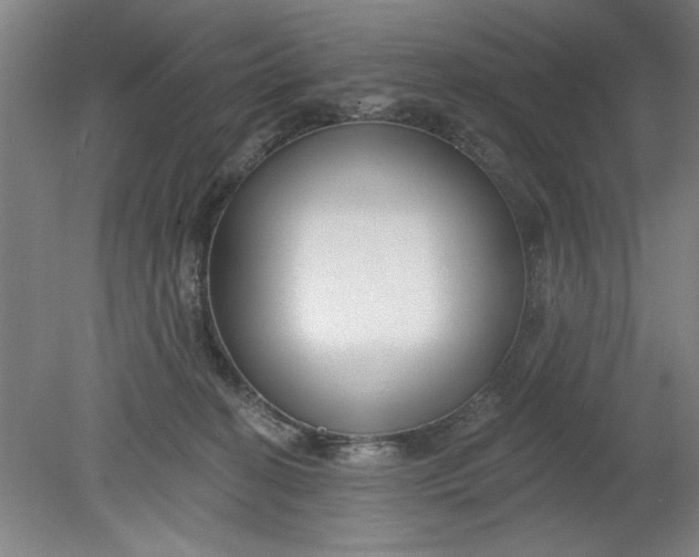 X0000080790274200701021232