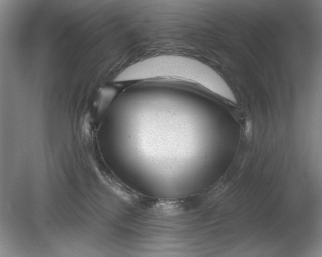 X0000080790280200701021232