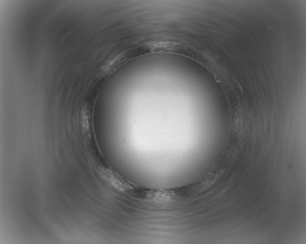 X0000080790282200701021232