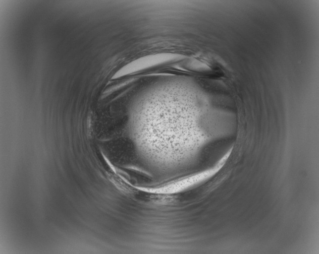 X0000080790288200701021232