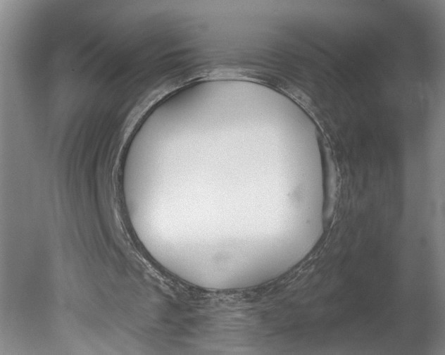 X0000080790289200701021231