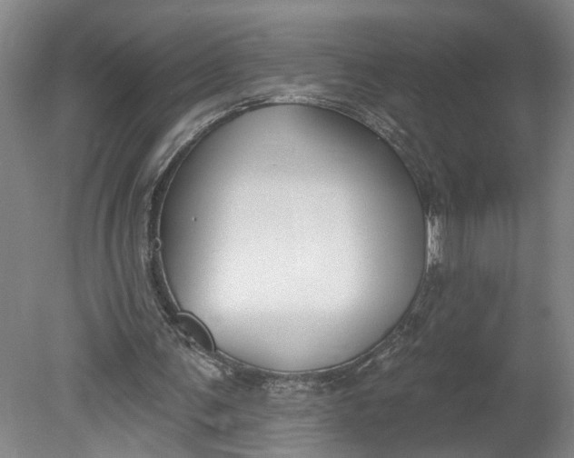 X0000080790291200701021231