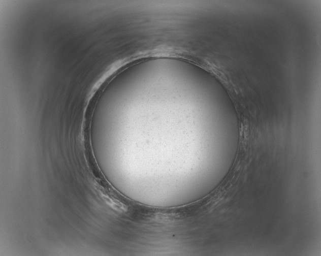 X0000080790292200701021231