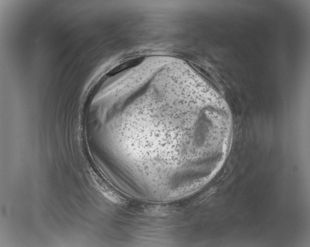 X0000080790293200701021231