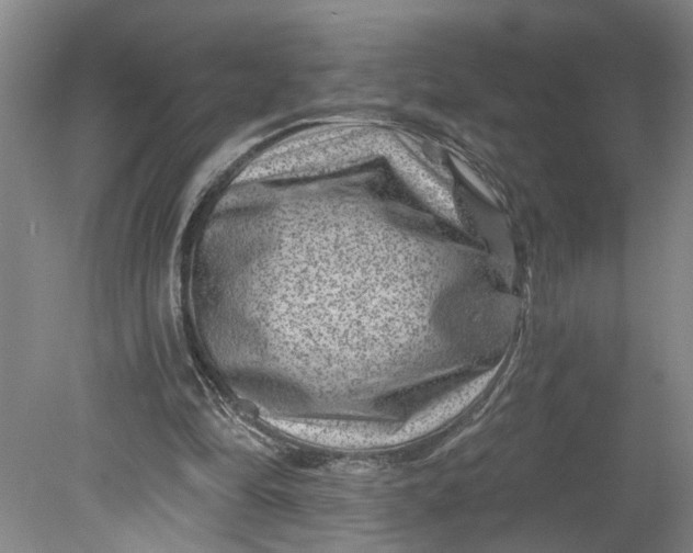 X0000080790294200701021231