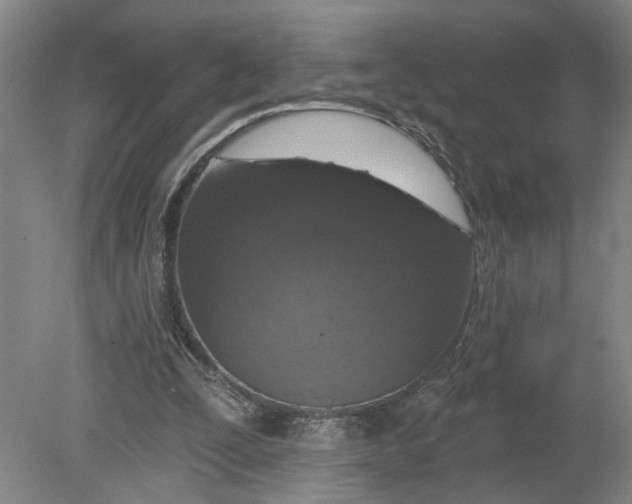 X0000080790295200701021231