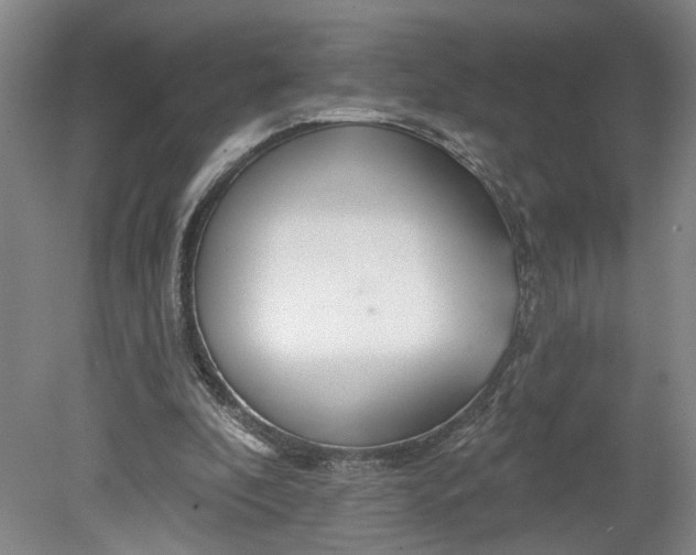 X0000080790296200701021231
