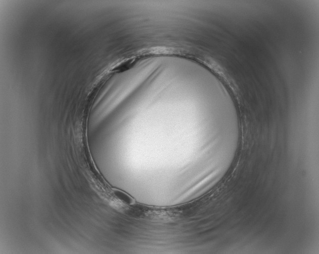 X0000080790297200701021231