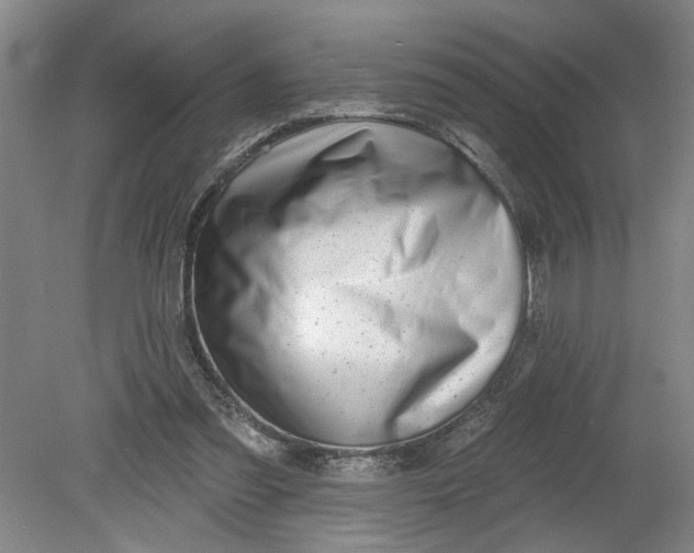 X0000080790301200701021231