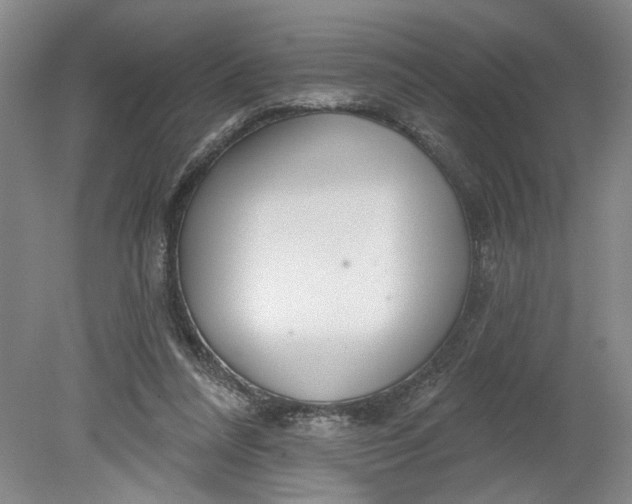 X0000080790304200701021231