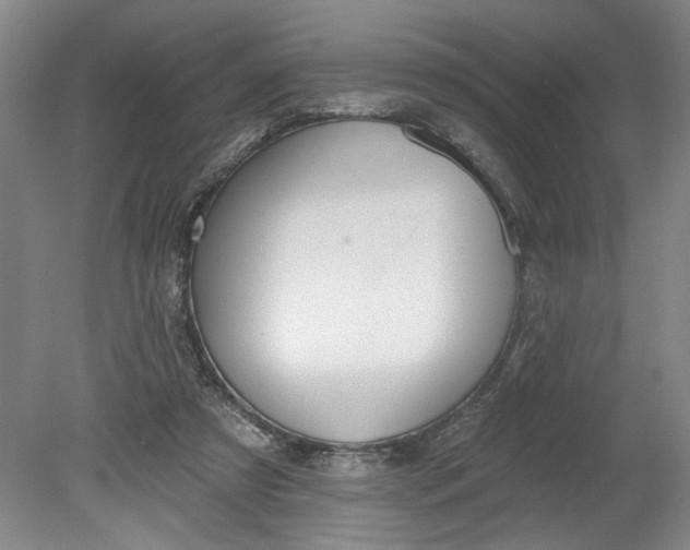 X0000080790305200701021231