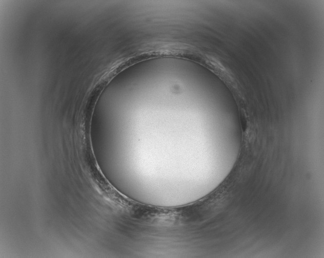 X0000080790306200701021231