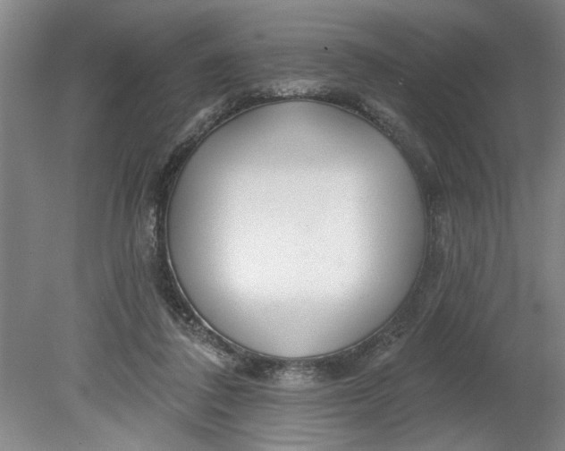 X0000080790308200701021231
