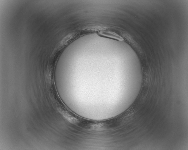 X0000080790309200701021231