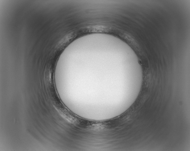 X0000080790310200701021231