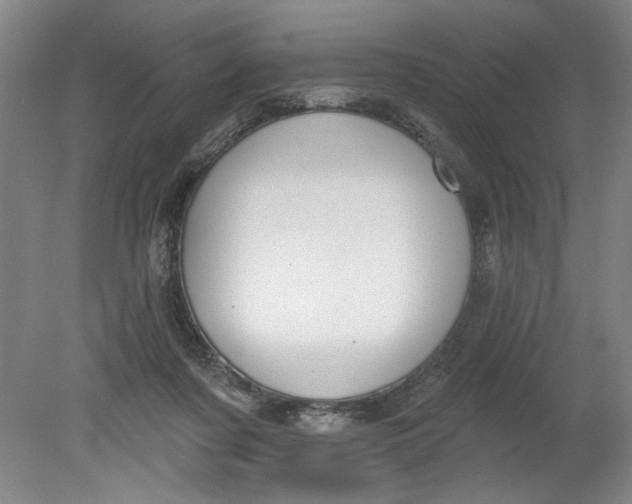 X0000080790311200701021231