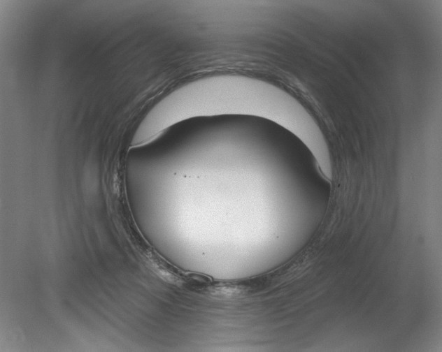 X0000080790313200701021231