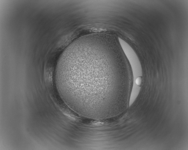 X0000080790315200701021231