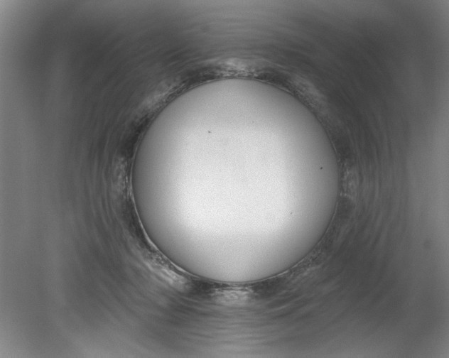 X0000080790318200701021231