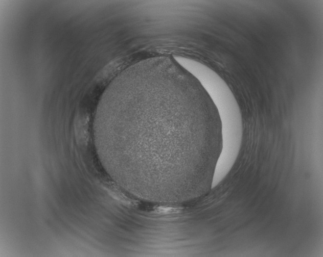 X0000080790319200701021231