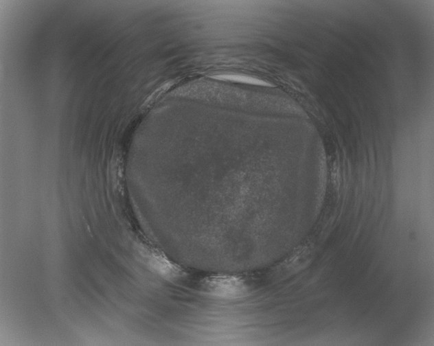 X0000080790322200701021231