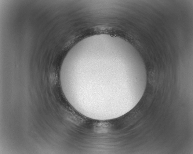 X0000080790324200701021231