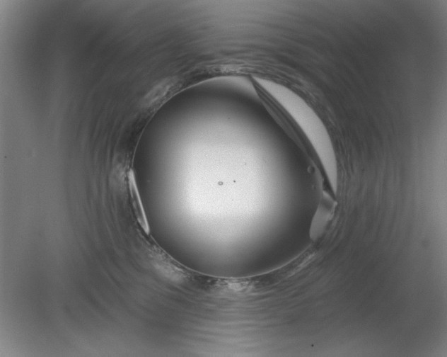 X0000080790329200701021230