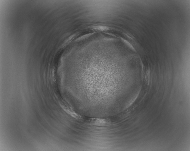 X0000080790330200701021230