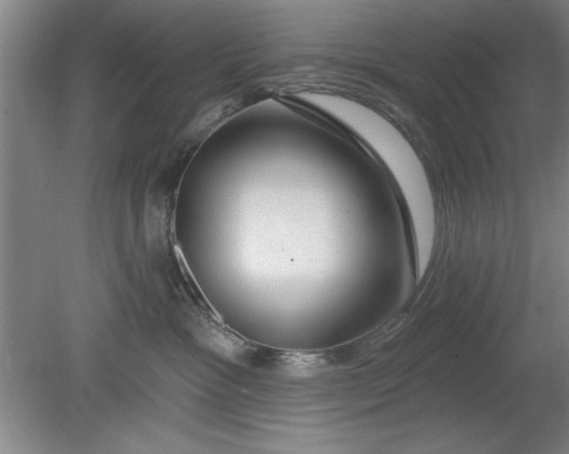 X0000080790333200701021230