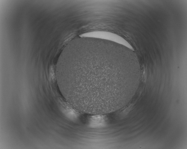 X0000080790335200701021230