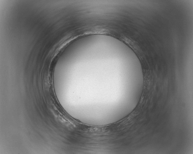 X0000080790338200701021230