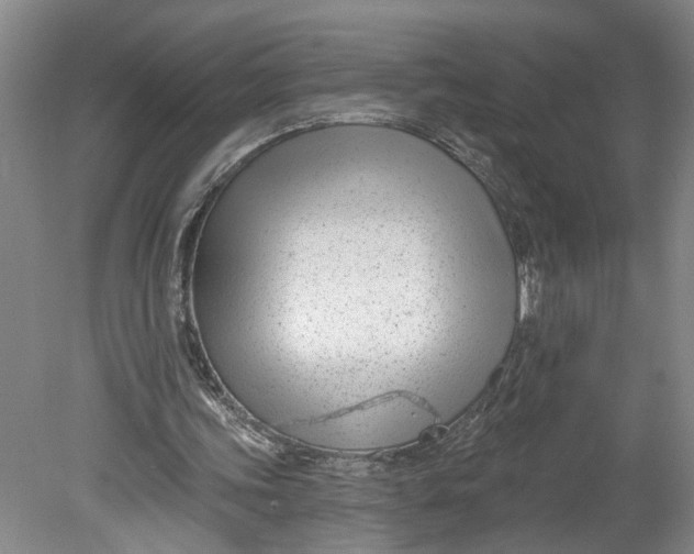 X0000080790339200701021230
