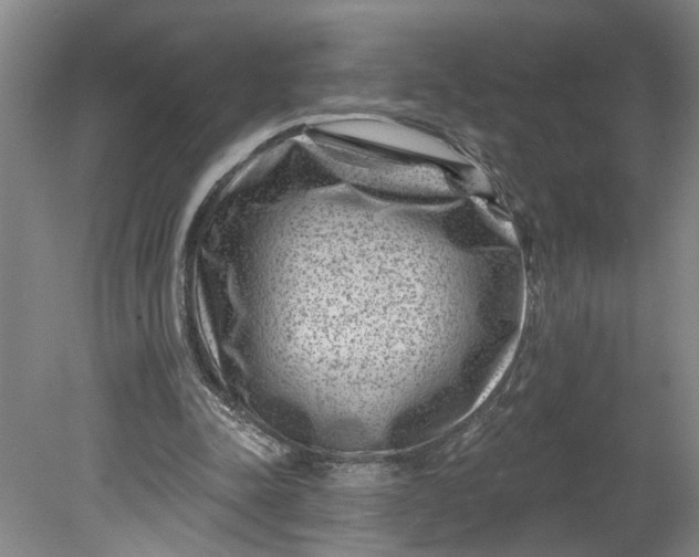 X0000080790342200701021230