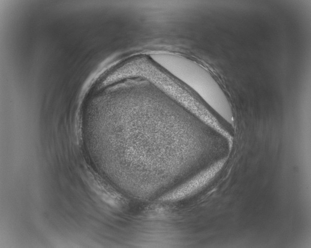 X0000080790343200701021230