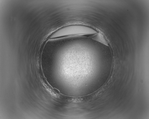 X0000080790345200701021230