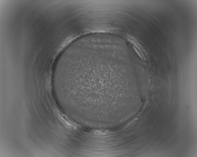 X0000080790346200701021230