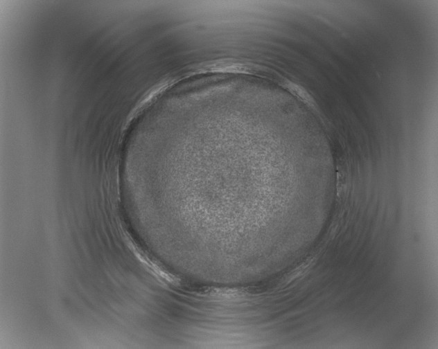 X0000080790349200701021230