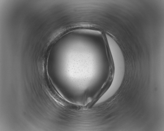 X0000080790350200701021230