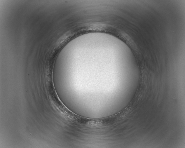 X0000080790354200701021230