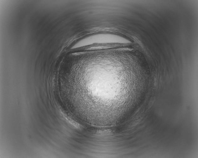X0000080790357200701021230