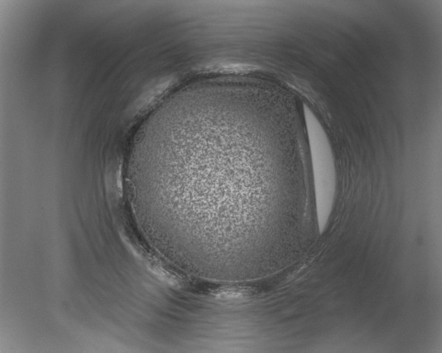 X0000080790358200701021230